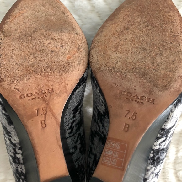 Coach Orchard Graphic Print Snake White Leather - Picture 4 of 4